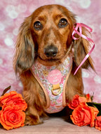 Pastel Petals - Dog Harness (XXS-XS)