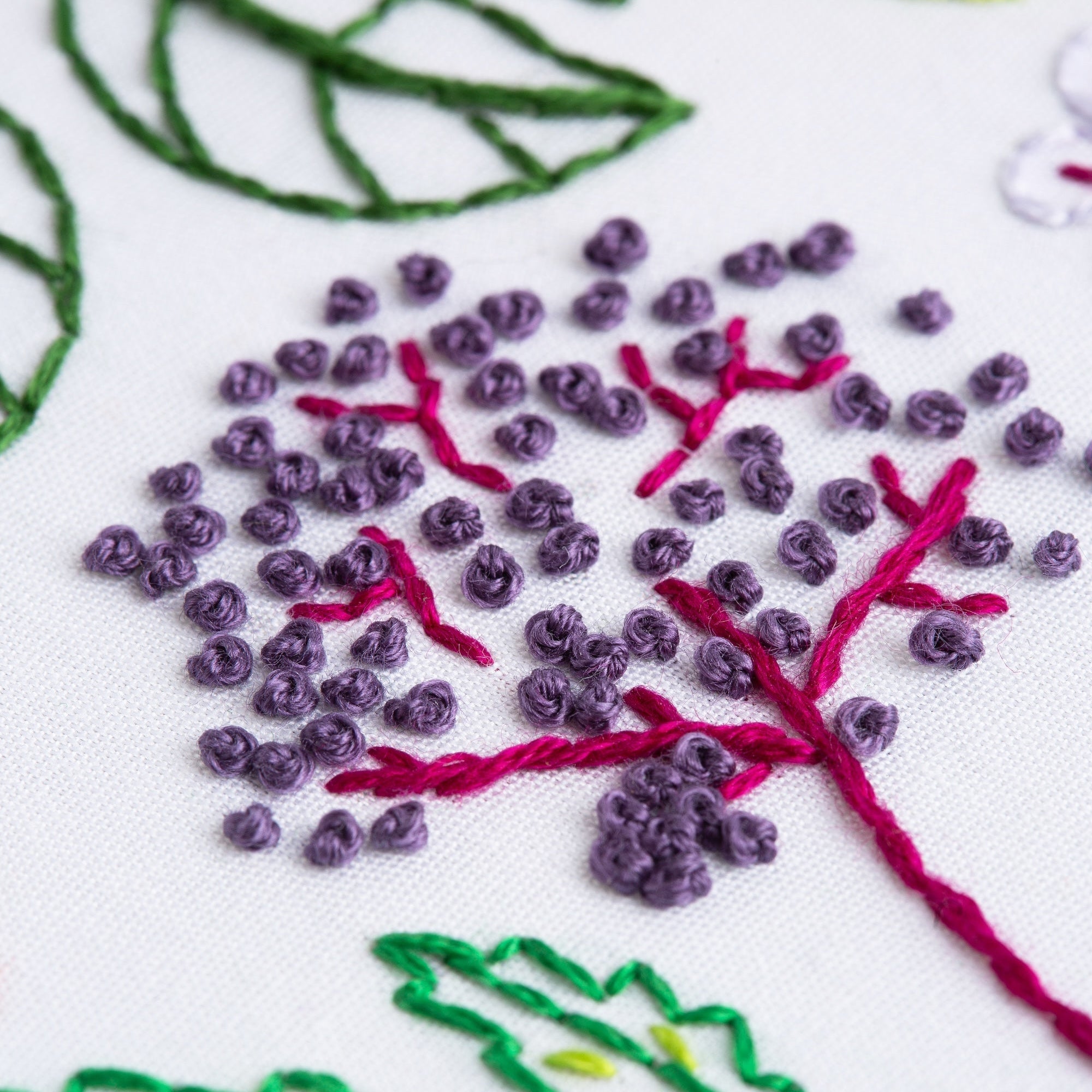 Herbarium Botanical Embroidery Kit for Beginners