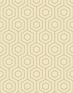 Hive