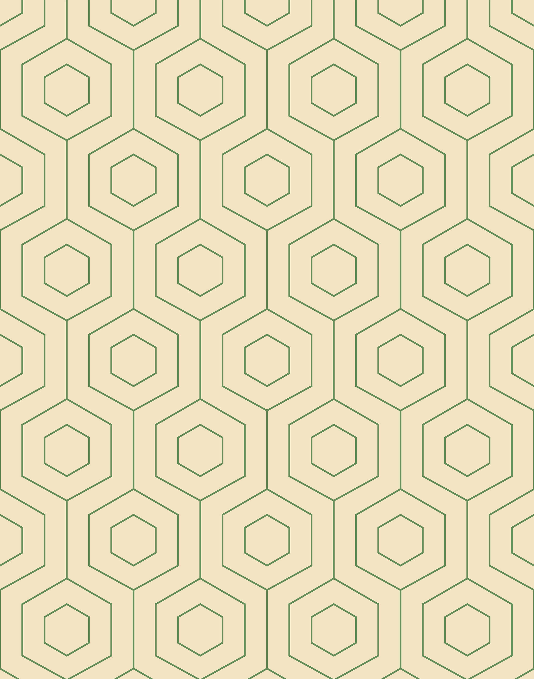 Hive