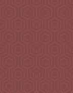 Hive