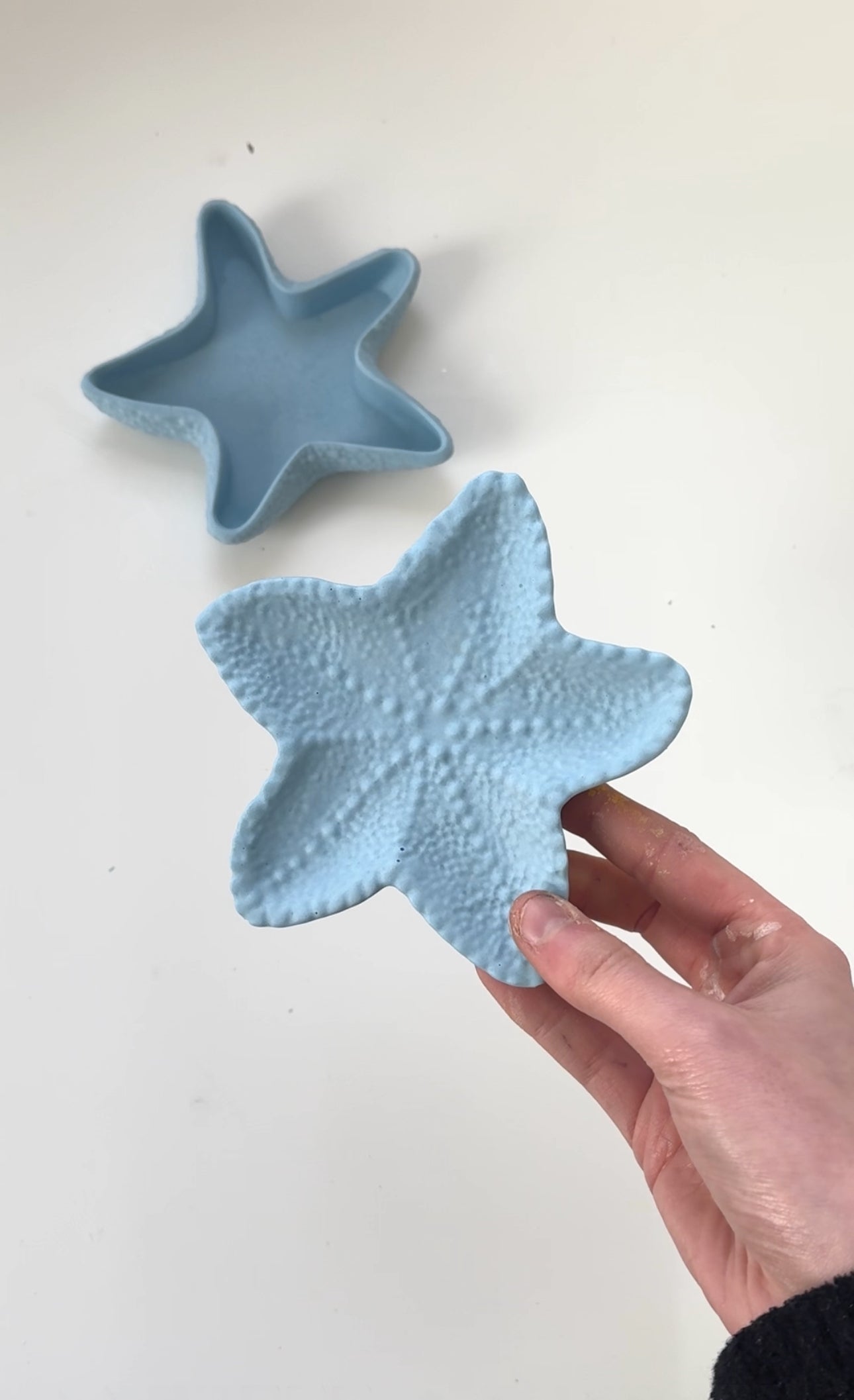 Starfish Trinket