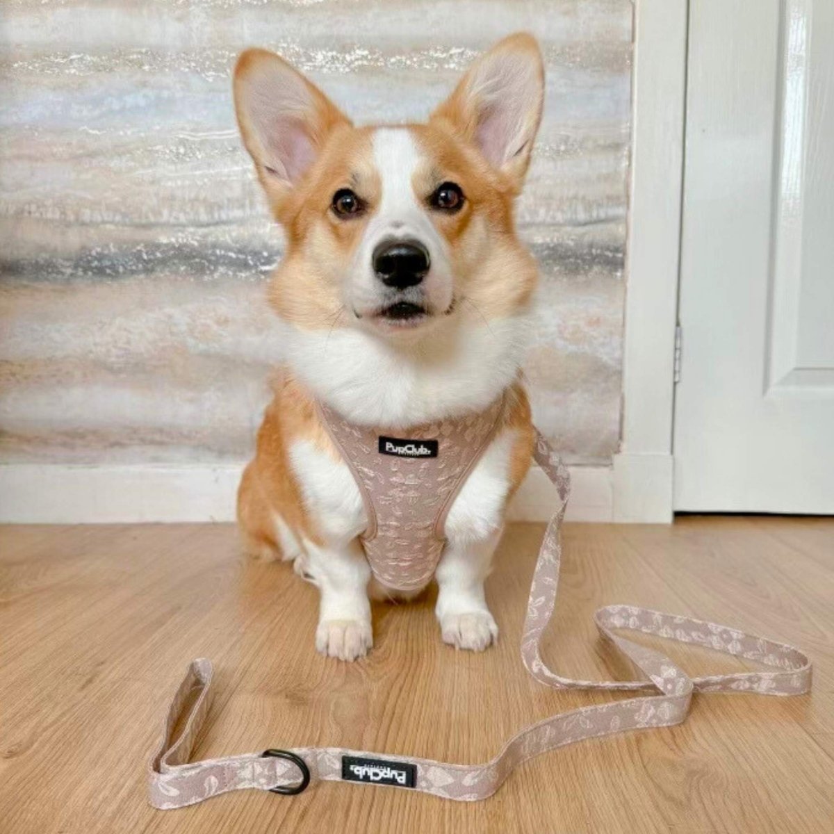 Luxe Adjustable Harness - Toffee Latte Petals