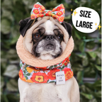 Steel Leopard Dog Snood