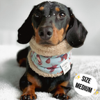 Florentina Dog Snood
