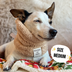 Blushing Leopard Dog Snood