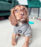 Dog Hoodie - Light Pink