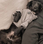 Dog Hoodie - Light Teal