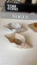 conch trinket dish