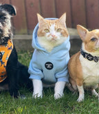 Dog Hoodie - Sky Blue