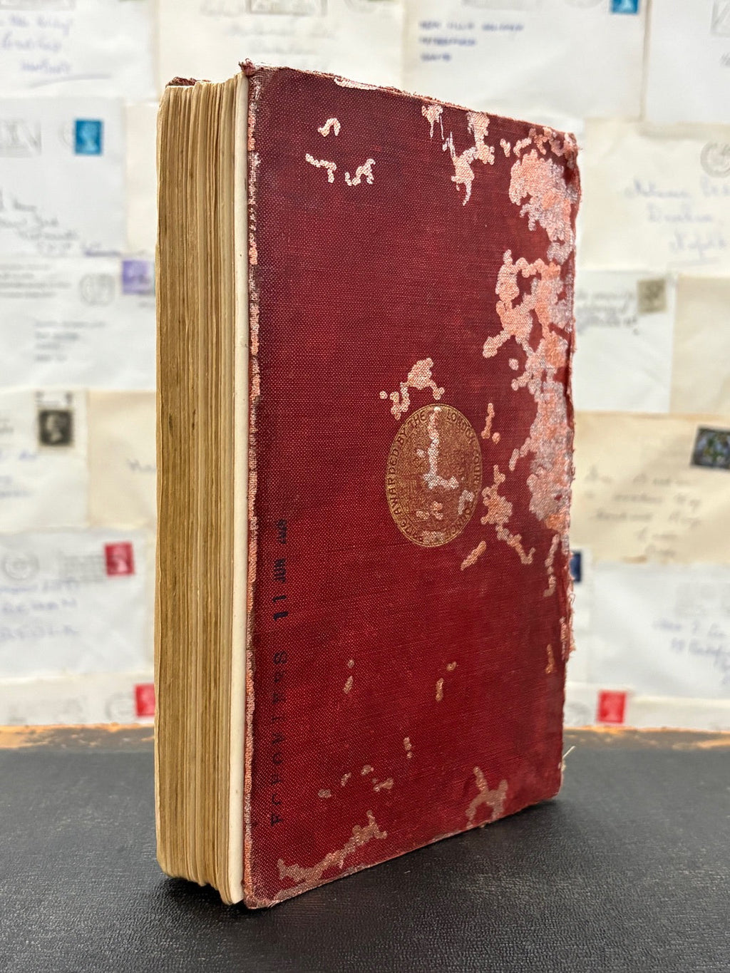 There Are Spiders In The Jungle Book, Altered Book Carving