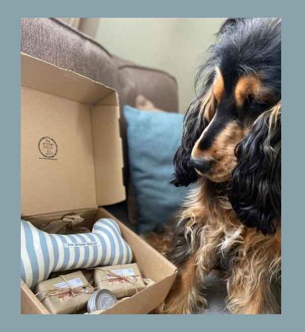 Dogs Pampering/Grooming Gift Set - Choice of Fabrics for Toy Bone