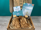 Plant Propagation Gift Set #3