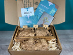 Plant Propagation Gift Set #5