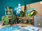 Plant Propagation Gift Set #5