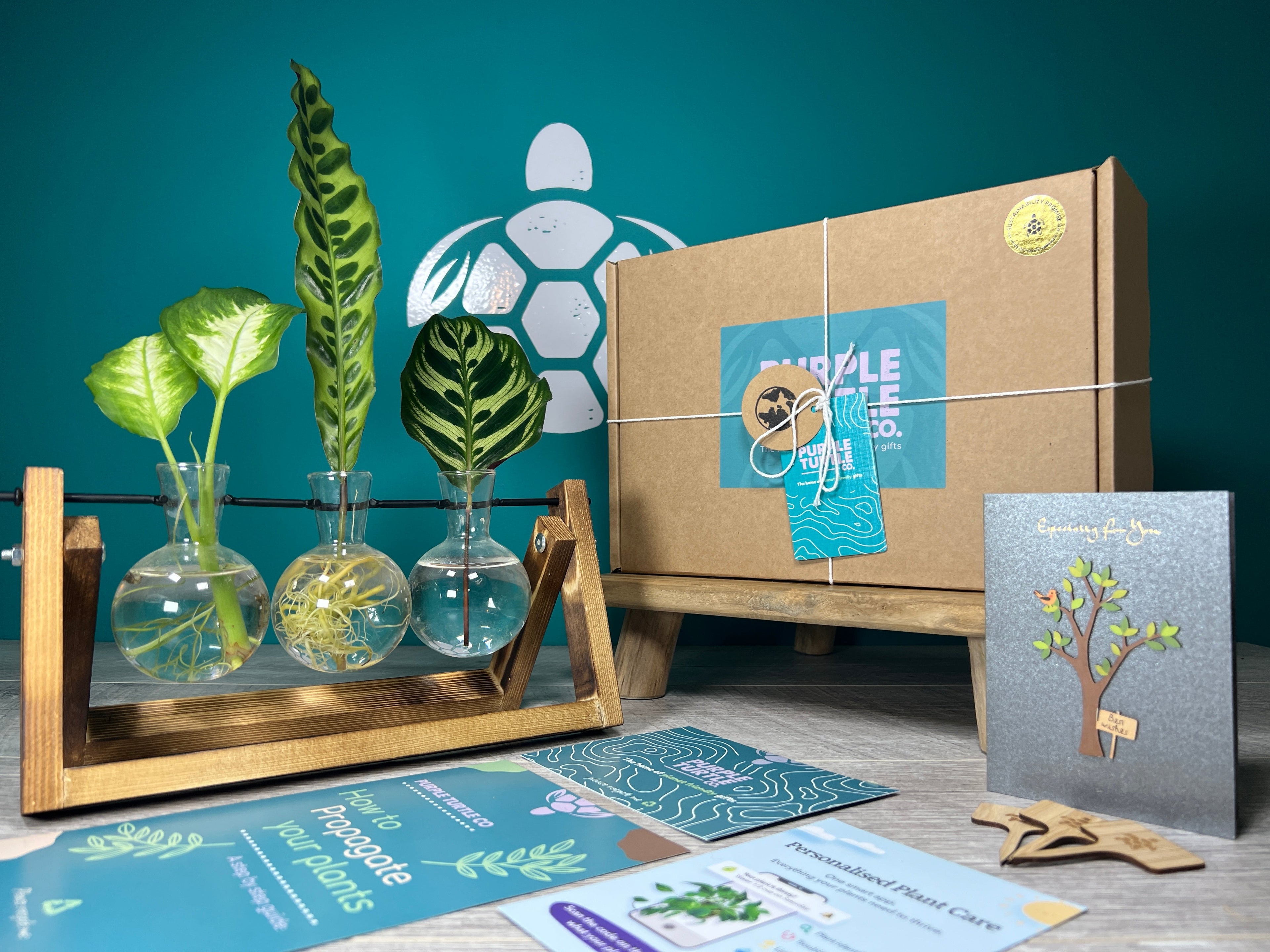 Plant Propagation Gift Set #2