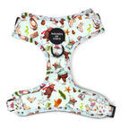 Teddy it's Cold Outside Dog Collar