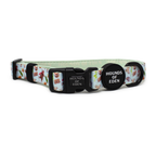 Teddy it's Cold Outside Dog Collar