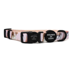 Arctic Wonderland - Dog Collar
