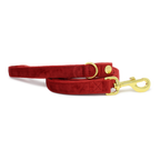 Ruby Red Velvet Collar