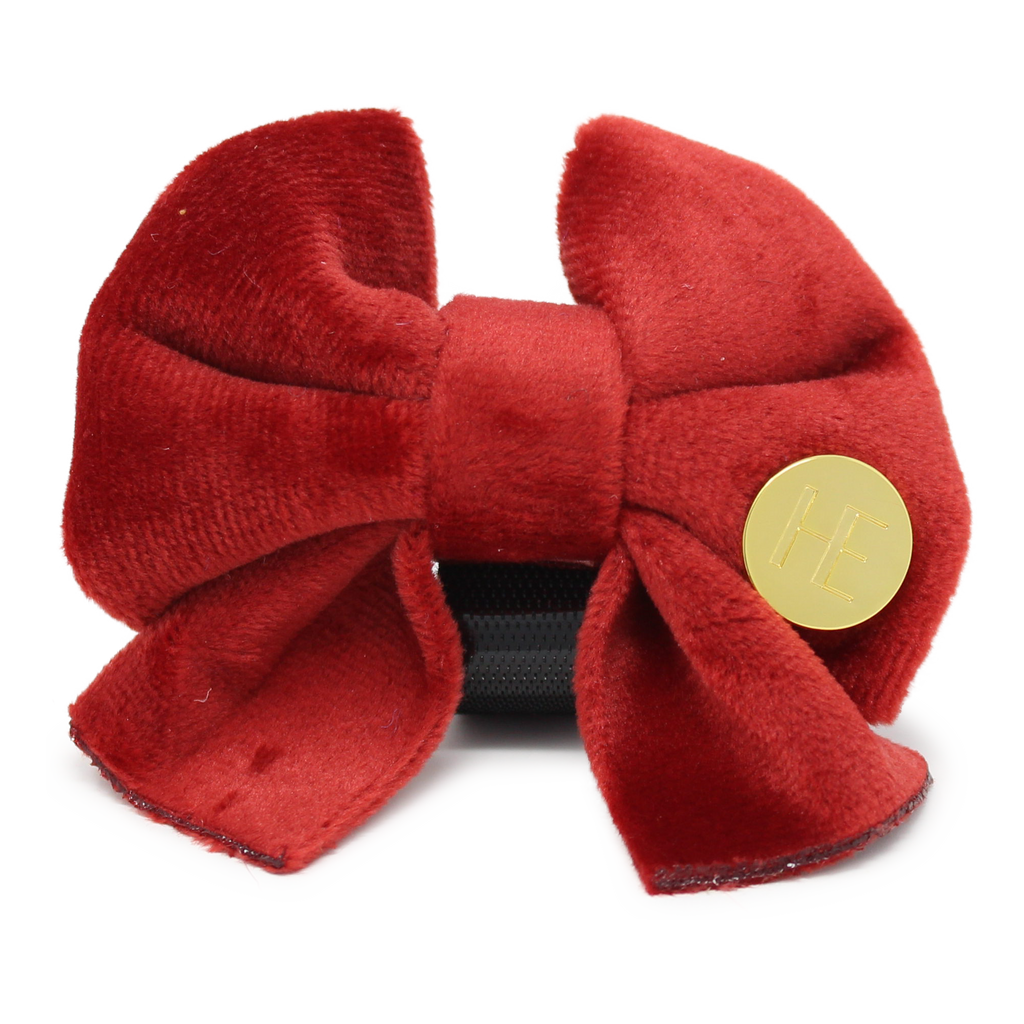 Ruby Red Velvet Collar