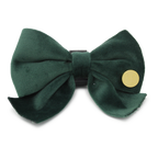 Olive Green Velvet Collar
