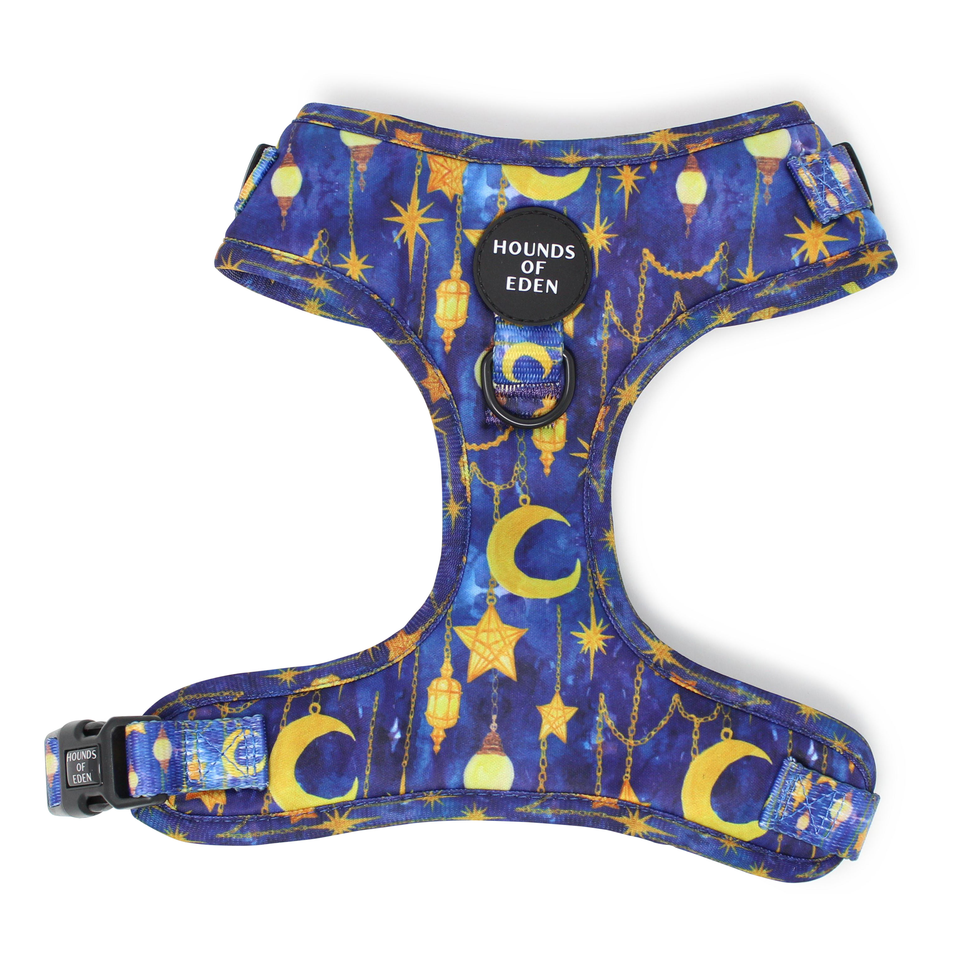 Arabian Nights - Blue and Gold Dog Collar