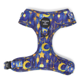 Arabian Nights - Blue and Gold Dog Harness