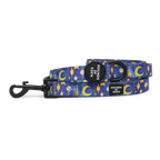Arabian Nights - Blue and Gold Dog Collar