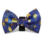 Arabian Nights - Blue and Gold Dog Harness
