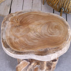 Tree Root Side Table Plant Stand