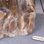 Tree Root Side Table Plant Stand