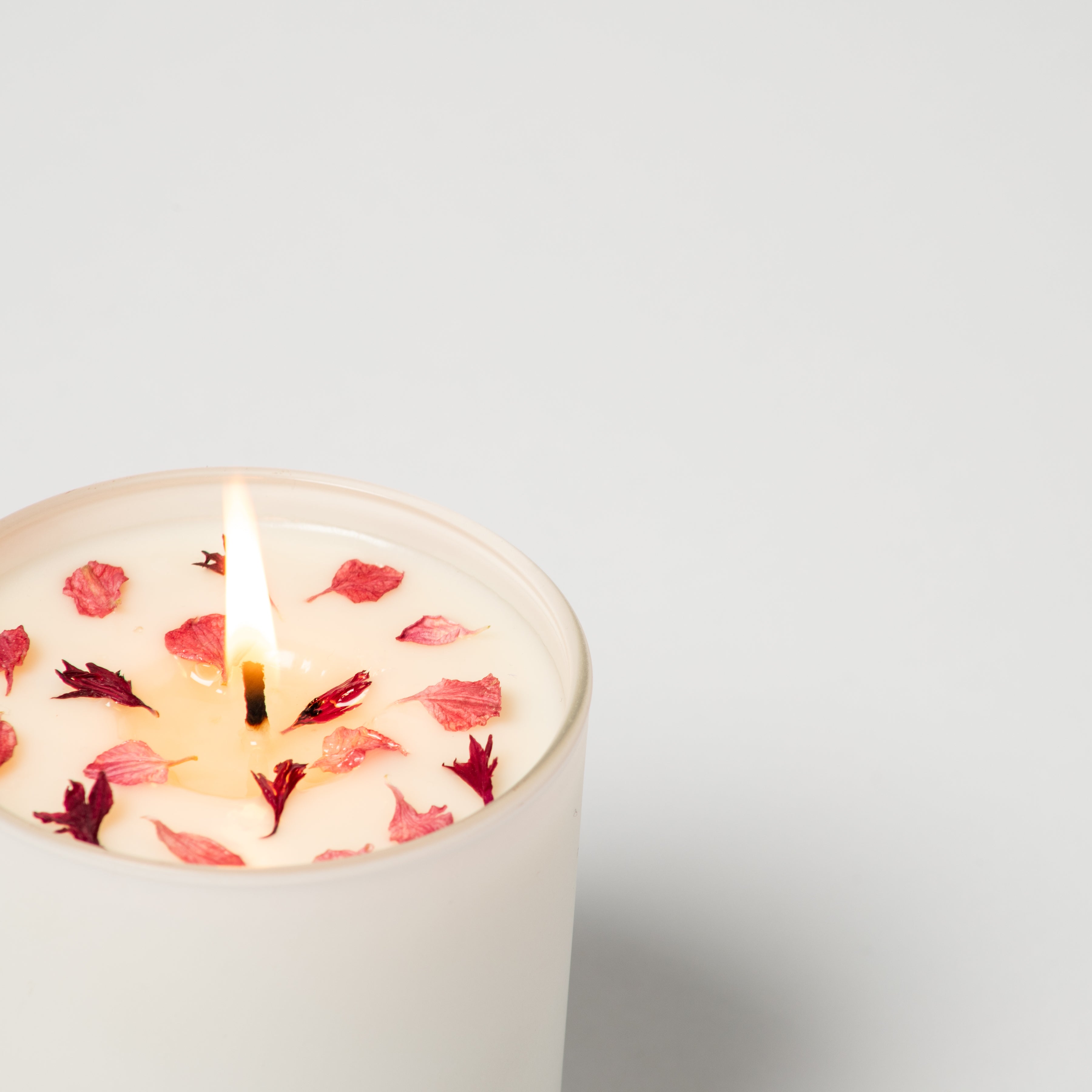 New! Cherry Orchard