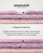 Illuminating Rose-hip, Grape Seed & Avocado Face Oil