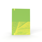 Thankful and Wishful Gratitude Journal, A5 - Green
