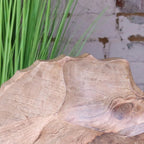 Kavira Divided Serving Dish Mango Wood