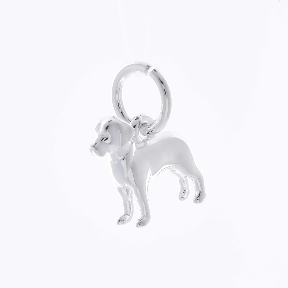 Labrador Personalised Silver Dog Tag Necklace
