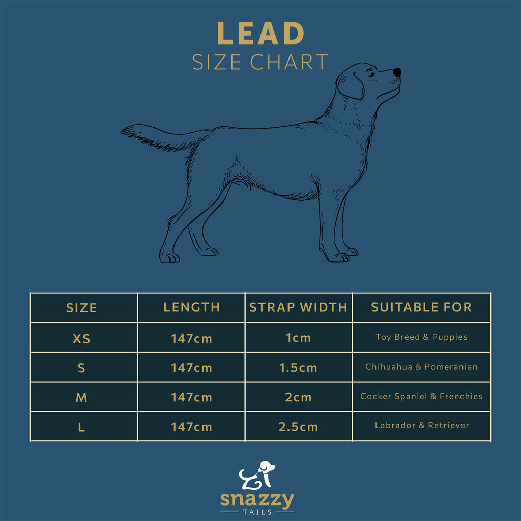 The Minnie Lead