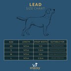 The Willow Lead