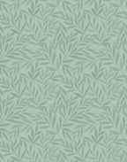 Olea