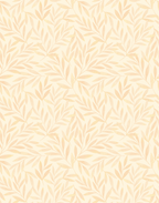 Olea