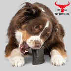 Buffalo Horn-Small (4-5 Inch)-Dog Treats