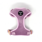 Lilac Dreams - Lilac Velvet Dog Harness with Rose Gold Metal Hardware