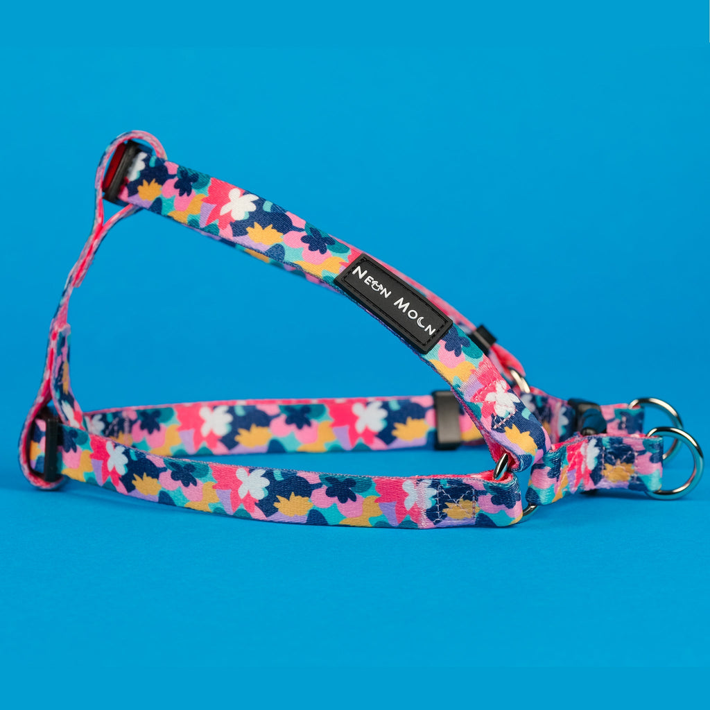 The Luna Step-In Harness