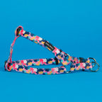 The Luna Step-In Harness