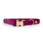 Magenta Sky Velvet Harness