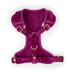 Magenta Sky Velvet Harness