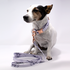 Arabella Marble Dog Lead