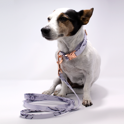 Arabella Marble Dog Lead