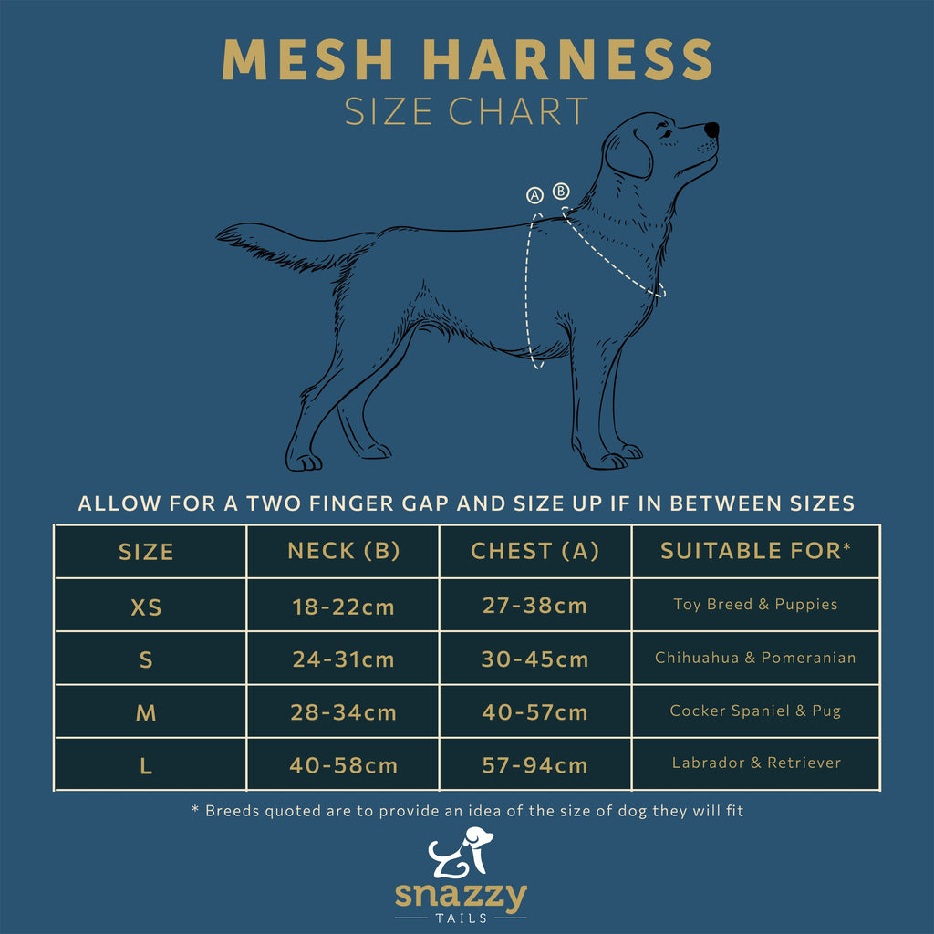 The Minnie Mesh Harness